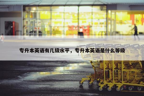 专升本英语有几级水平，专升本英语是什么等级