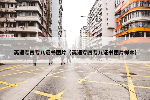 英语专四专八证书图片（英语专四专八证书图片样本）