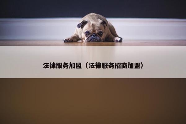 法律服务加盟（法律服务招商加盟）