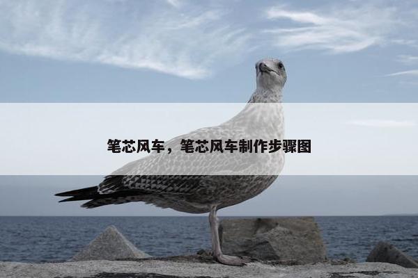 笔芯风车，笔芯风车制作步骤图