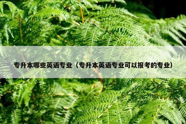 专升本哪些英语专业（专升本英语专业可以报考的专业）