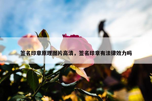 签名印章原理图片高清，签名印章有法律效力吗