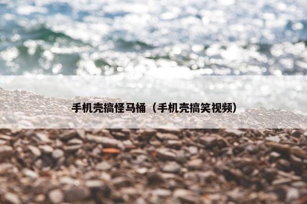 手机壳搞怪马桶（手机壳搞笑视频）