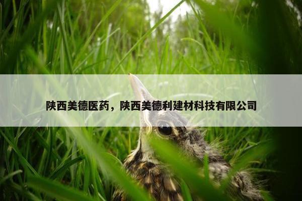 陕西美德医药，陕西美德利建材科技有限公司