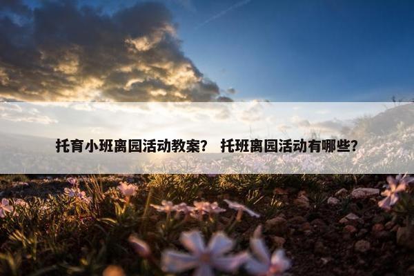托育小班离园活动教案？ 托班离园活动有哪些？