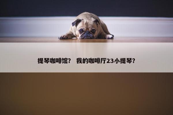 提琴咖啡馆？ 我的咖啡厅23小提琴？