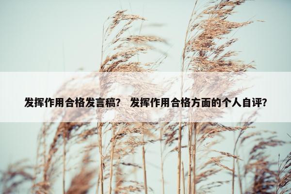 发挥作用合格发言稿？ 发挥作用合格方面的个人自评？