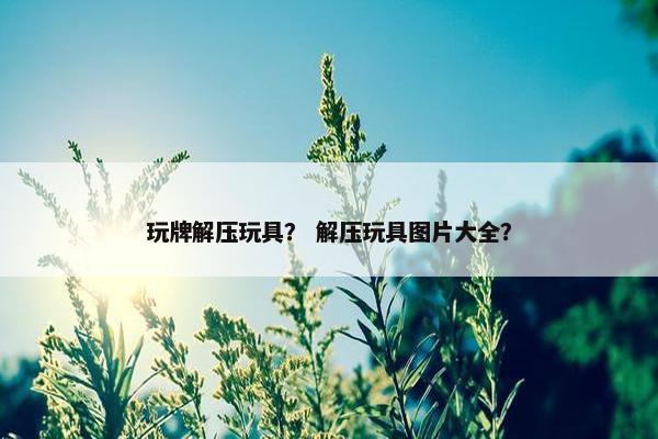 玩牌解压玩具？ 解压玩具图片大全？