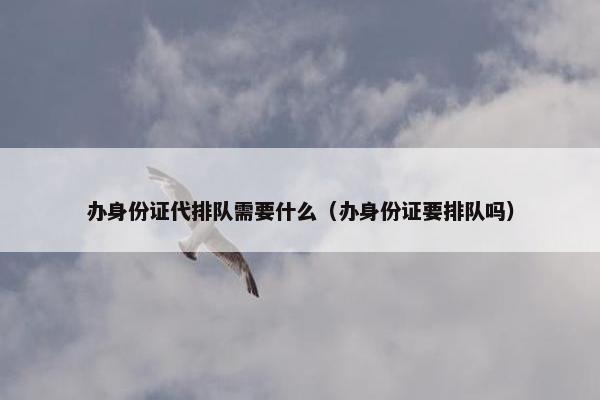 办身份证代排队需要什么（办身份证要排队吗）
