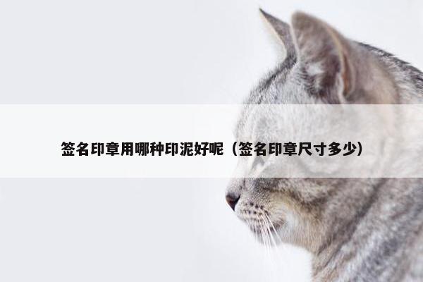 签名印章用哪种印泥好呢（签名印章尺寸多少）