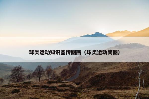 球类运动知识宣传图画（球类运动简图）