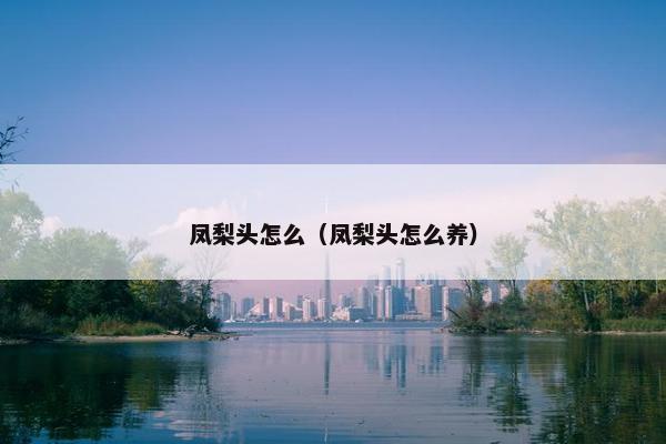 凤梨头怎么（凤梨头怎么养）
