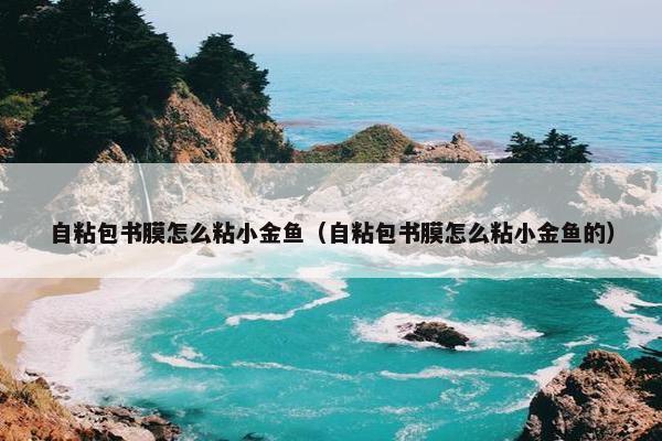 自粘包书膜怎么粘小金鱼（自粘包书膜怎么粘小金鱼的）
