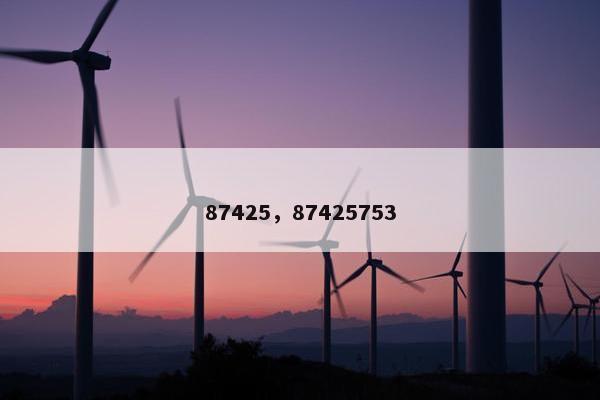 87425，87425753