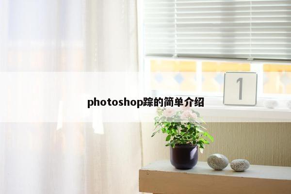photoshop踪的简单介绍