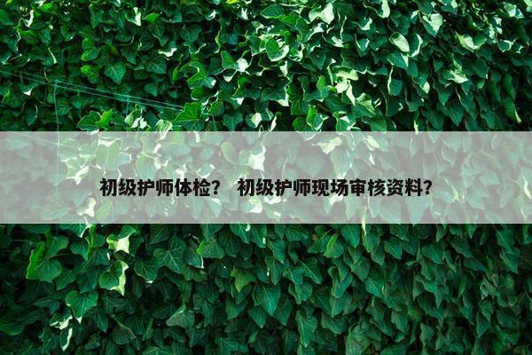 初级护师体检？ 初级护师现场审核资料？