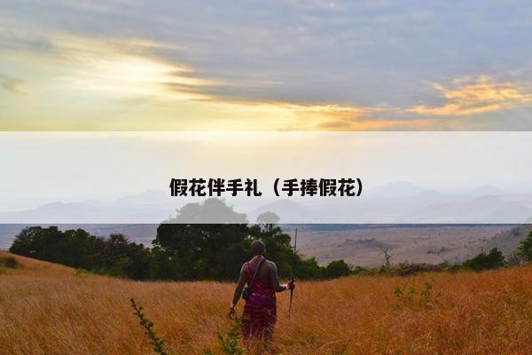 假花伴手礼（手捧假花）
