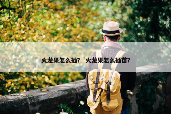 火龙果怎么插？ 火龙果怎么插苗？