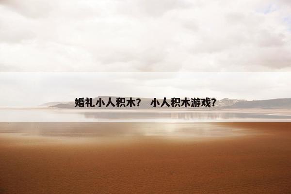 婚礼小人积木？ 小人积木游戏？