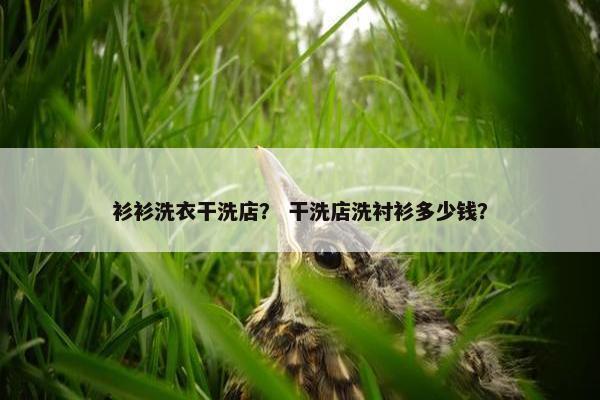 衫衫洗衣干洗店？ 干洗店洗衬衫多少钱？