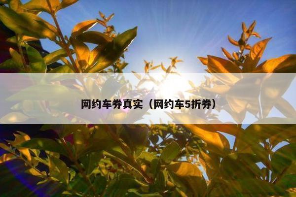 网约车券真实（网约车5折券）