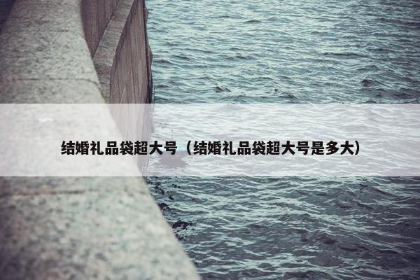 结婚礼品袋超大号（结婚礼品袋超大号是多大）