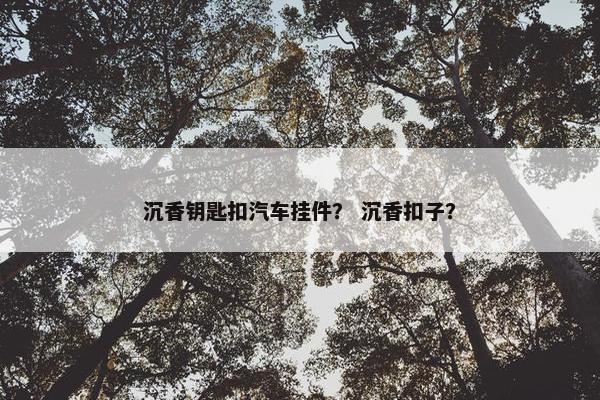 沉香钥匙扣汽车挂件？ 沉香扣子？