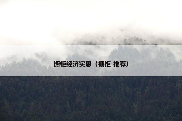 橱柜经济实惠（橱柜 推荐）