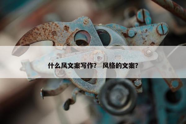 什么风文案写作？ 风格的文案？