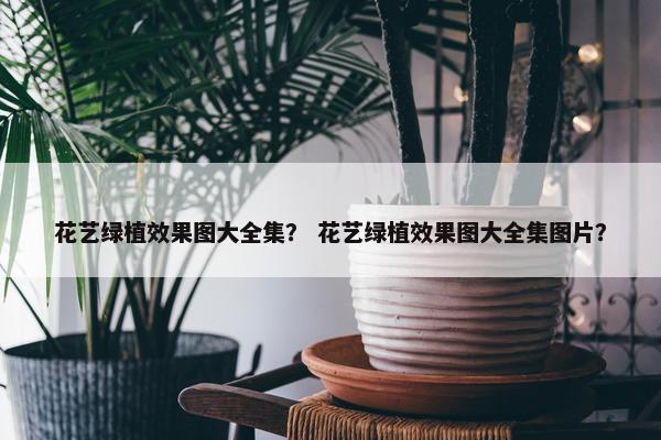 花艺绿植效果图大全集？ 花艺绿植效果图大全集图片？