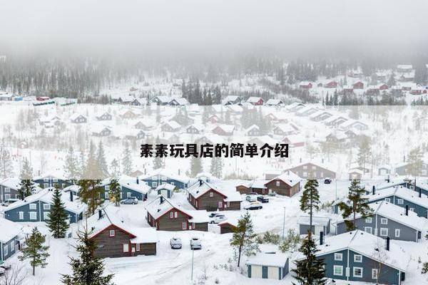 素素玩具店的简单介绍