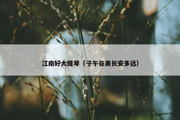 江南好大提琴（子午谷离长安多远）