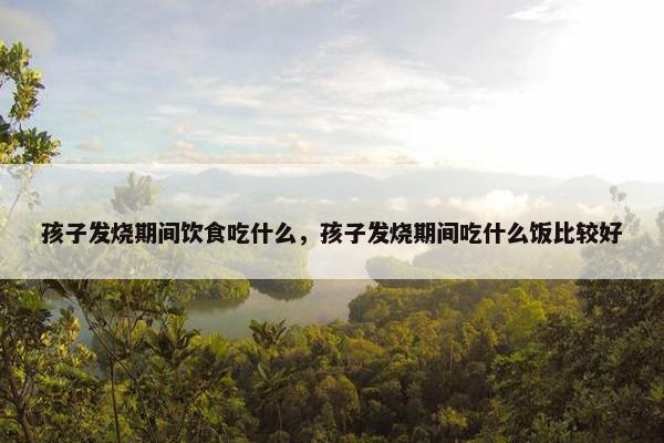 孩子发烧期间饮食吃什么，孩子发烧期间吃什么饭比较好