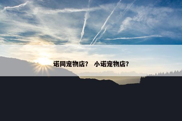 诺同宠物店？ 小诺宠物店？