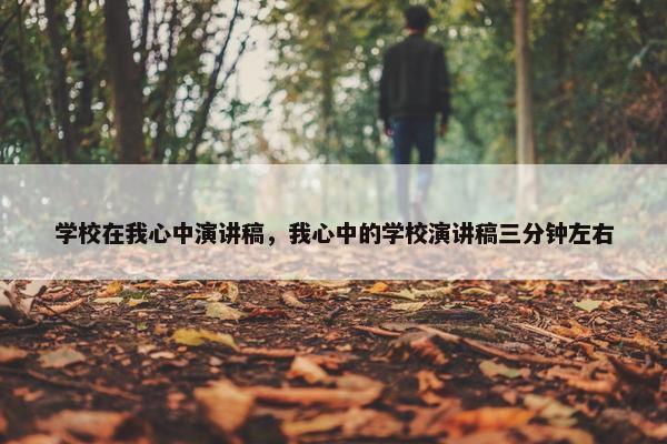 学校在我心中演讲稿，我心中的学校演讲稿三分钟左右