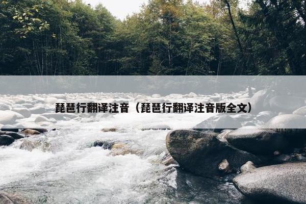 琵琶行翻译注音（琵琶行翻译注音版全文）
