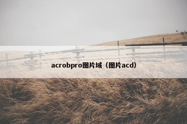 acrobpro图片域（图片acd）