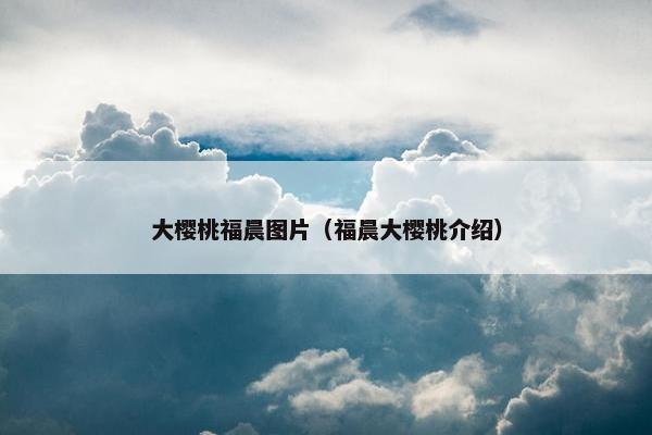 大樱桃福晨图片（福晨大樱桃介绍）