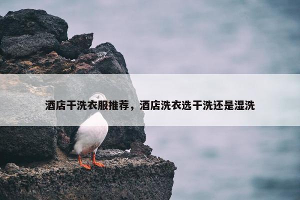 酒店干洗衣服推荐，酒店洗衣选干洗还是湿洗