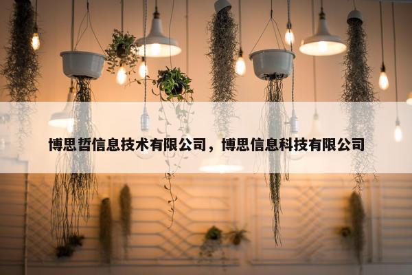 博思哲信息技术有限公司，博思信息科技有限公司