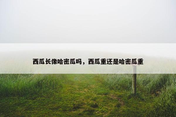 西瓜长像哈密瓜吗，西瓜重还是哈密瓜重