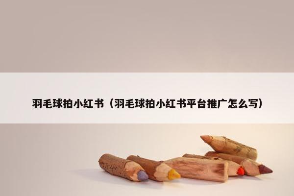 羽毛球拍小红书（羽毛球拍小红书平台推广怎么写）