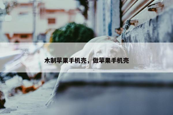 木制苹果手机壳，做苹果手机壳