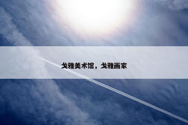 戈雅美术馆，戈雅画家