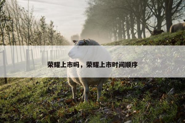荣耀上市吗，荣耀上市时间顺序