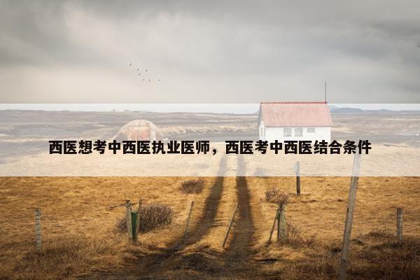 西医想考中西医执业医师，西医考中西医结合条件