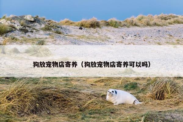 狗放宠物店寄养（狗放宠物店寄养可以吗）