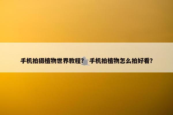 手机拍摄植物世界教程？ 手机拍植物怎么拍好看？