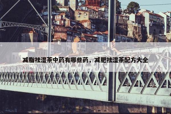 减脂祛湿茶中药有哪些药，减肥祛湿茶配方大全