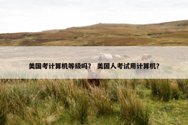美国考计算机等级吗？ 美国人考试用计算机？